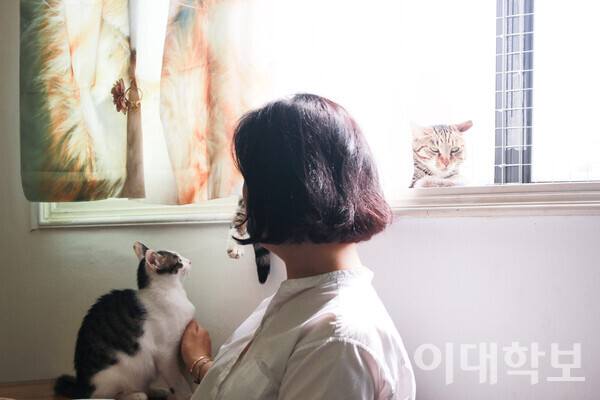 날 좋은 오후 햇볕을 쬐는 고양이들의 창가 자리 쟁탈전을 바라보는 송미경 부대표 박성빈 사진기자