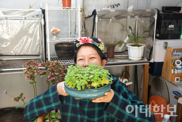 재개발 지역에 버려진 식물들을 키워 식물유치원을 운영하는 백수혜씨.  박성빈 사진기자
