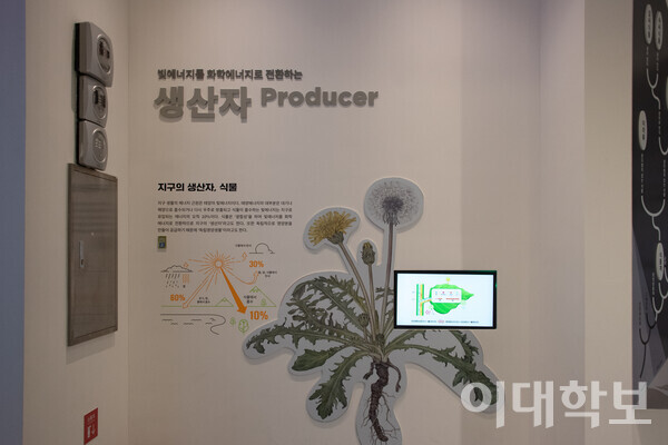 김진옥씨는 “식물은 인간이 지구에서 살 수 있도록 하는 생산자다"며 식물의 중요성을 강조했다.   이자빈 사진기자