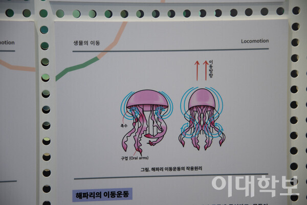 김난경씨가 작업한 ‘생물의 이동’ 전시의 일러스트 중 하나.  박성빈 사진기자