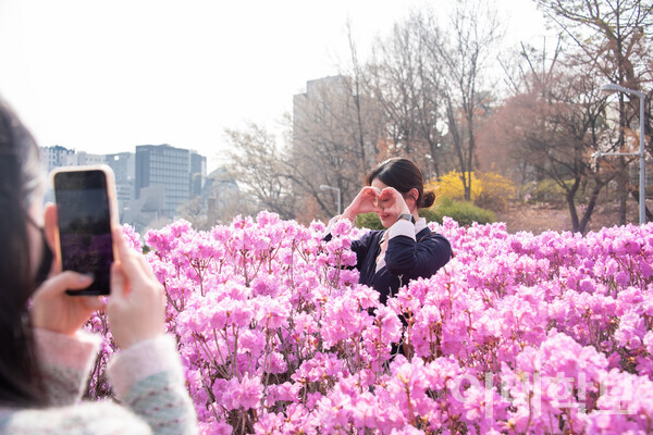 최수연(한국음악·20)씨가 ECC 진달래꽃 사이에서 친구와 함께 사진을 찍으며 추억을 쌓고 있다. 박성빈 사진기자