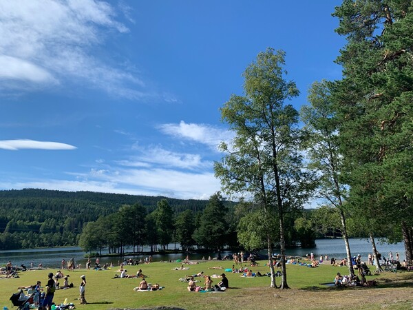여름철 오슬로에 있는 호수 송스반(Sognsvann)에서 사람들이 일광욕을 즐기고 있다. <strong>김해인 선임기자