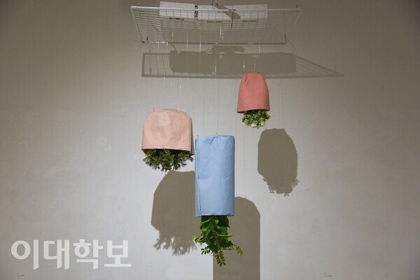 안지민씨의 작품 ‘숨자, 편안하도록’. 센서를 이용해 사람이 가까이 가면 식물이 안으로 들어가고, 사람이 멀어지면 식물이 나오도록 제작됐다. 이승현 사진기자