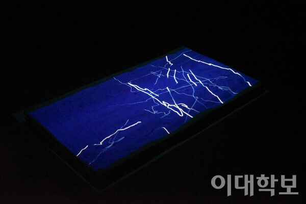 ‘기록장’은 박소이씨가 전시를 준비하며 매일 느낀 감정을 라인 드로잉 애니메이션으로 기록한 작품이다. 이승현 사진기자