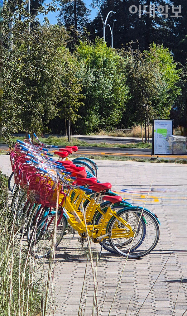 구글(Google)에서 제공하는 무료 자전거의 모습. 방문자도 자유롭게 이용할 수 있어 서로 멀리 떨어진 구글 건물들을 쉽게 둘러볼 수 있다. <strong>안정연 사진기자