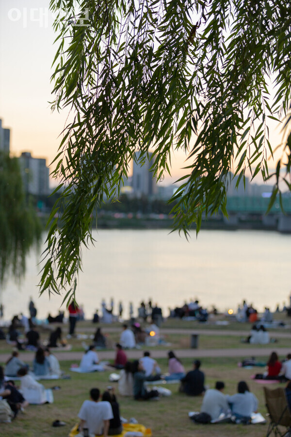 한강 속에 우거진 나무와 풀의 모습. <strong> 변하영 사진기자