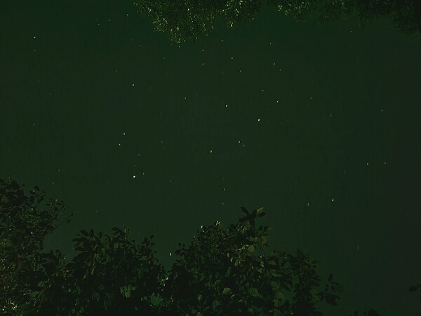 집 근처 뒷산 초입에서 바라본 밤하늘. <strong>하영은 선임기자