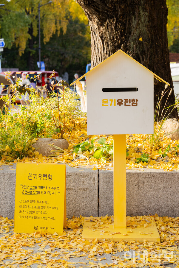 “소중한 고민을 익명으로 보내주시면 손편지로 답장을 전해드립니다.” 노란 은행잎들 사이에 우뚝 선 마로니에 공원 온기 우편함의 모습. <strong> 변하영 사진기자