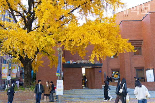 마로니에공원에서는 노랗게 물든 은행나무 뒤로 붉은 벽돌의 아르코 예술극장의 모습을 볼 수 있다.  남현지 사진기자