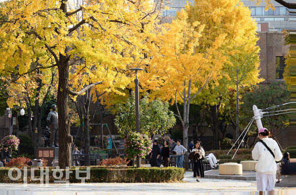 노란 은행잎으로 가득찬 대학로의 모습. <strong> 변하영 사진기자