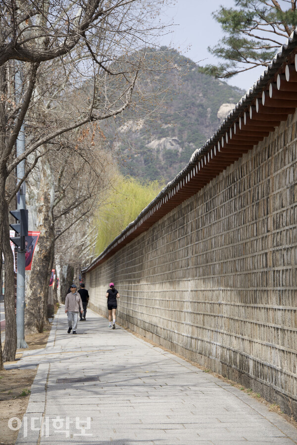 경복궁역 5번 출구부터 청와대 사랑채까지 이어진 ‘효자로 거리’의 모습. <strong>채의정 사진기자