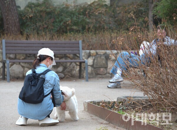 서촌에는 반려견과 함께하는 사람들이 많다. 조용하지만 사랑이 넘치는 풍경이 군데군데 존재한다. <strong>진유경 사진기자