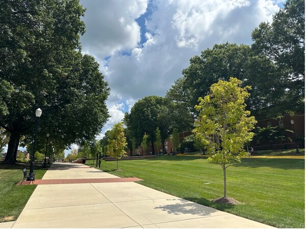 Katelynn을 만났던 ETSU 캠퍼스의 거리. 캠퍼스를 관통하기 때문에 걷다 보면 많은 이들과 마주칠 수 있다. 제공=박혜수씨